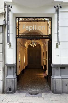 Papillon
